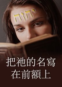 thumbnail (Thumbnail)