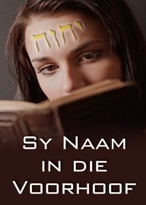 thumbnail (Thumbnail)