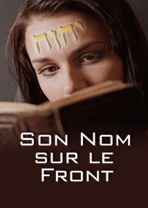 thumbnail (Thumbnail)