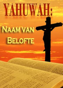 thumbnail (Thumbnail)