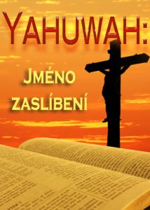 thumbnail (Thumbnail)