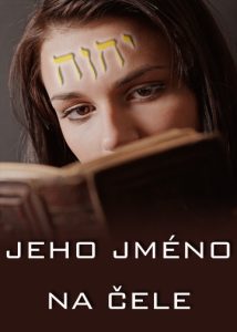 thumbnail (Thumbnail)