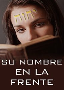 thumbnail (Thumbnail)