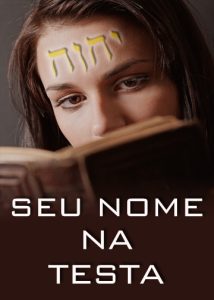 thumbnail (Thumbnail)