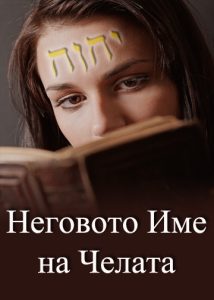 thumbnail (Thumbnail)